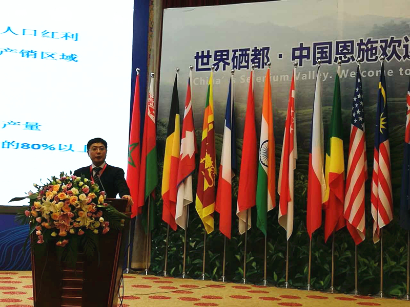 乐鱼（中国）受邀参加2017国际茶业大会  集团董事长毛立民获奖