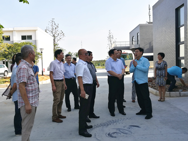 杭州市副市长王宏一行莅临乐鱼（中国）特种茶中心调研余杭区茶产业茶博园项目