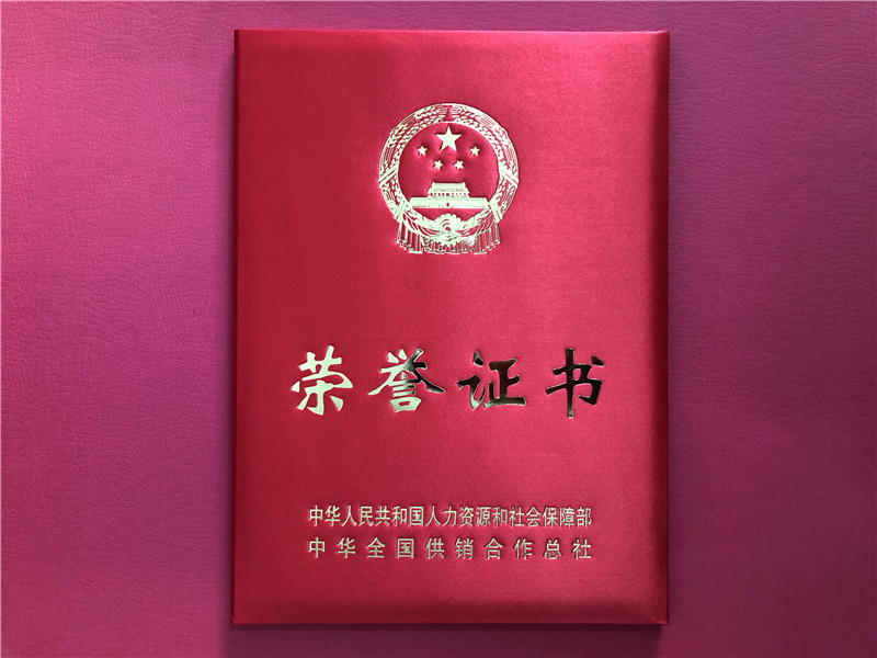 喜讯！乐鱼（中国）连获三项殊荣