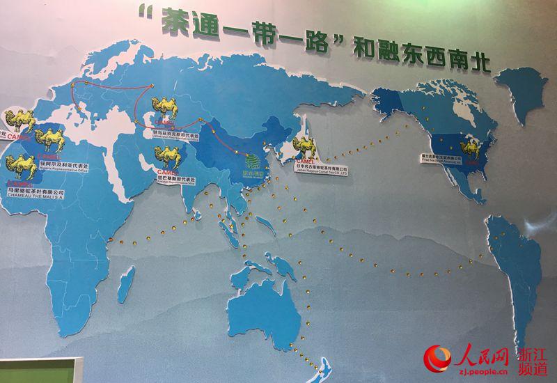 首届首届中国国际茶叶博览会系列报道之四-乐鱼（中国）参展之精彩花絮