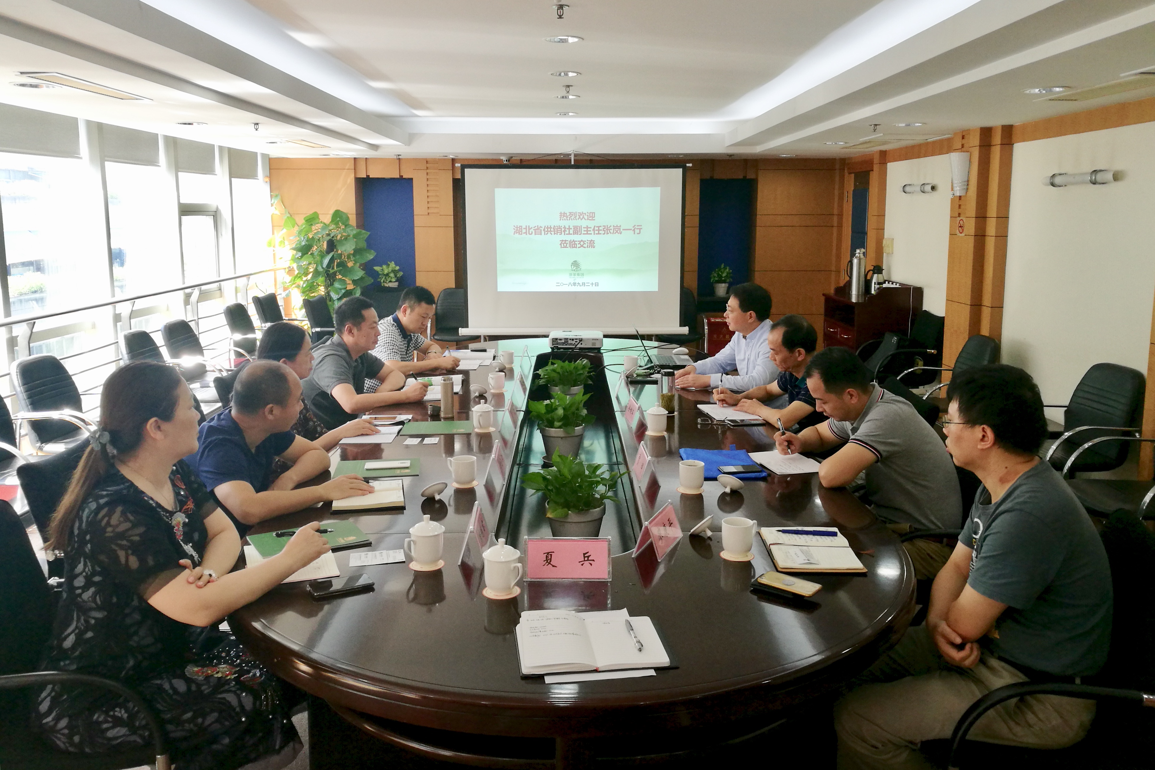 湖北省供销社张岚副主任一行莅临乐鱼（中国）考察交流