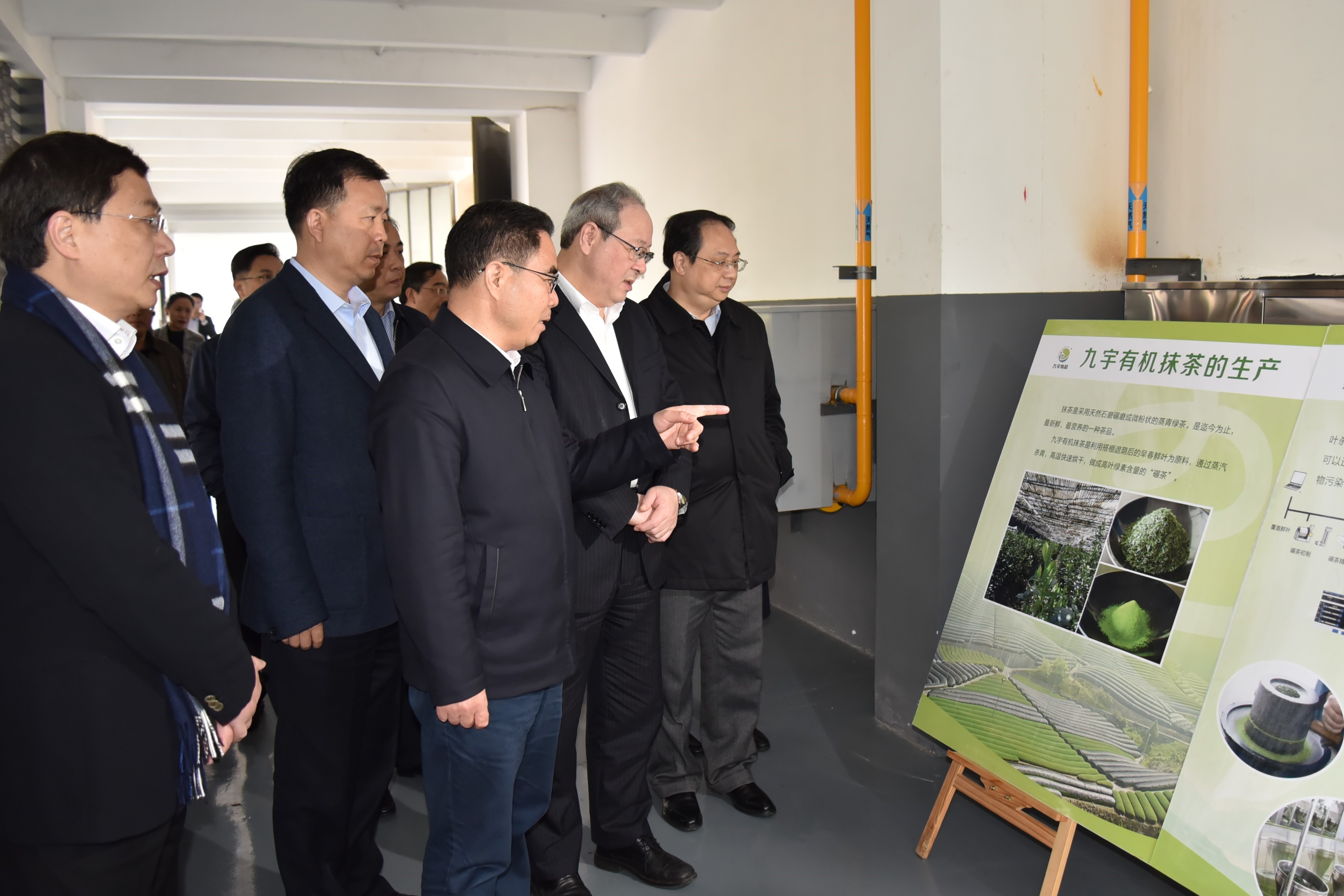 广东省委叶贞琴一行莅临乐鱼（中国）茶产业博览园考察